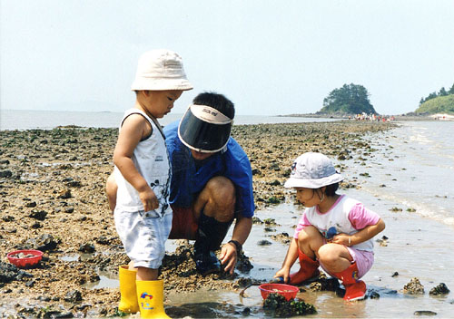 대죽리 앞 바다의 물이 완전히 빠지면 뒤로 보이는 죽도까지의 바닷길이 드러난다. 